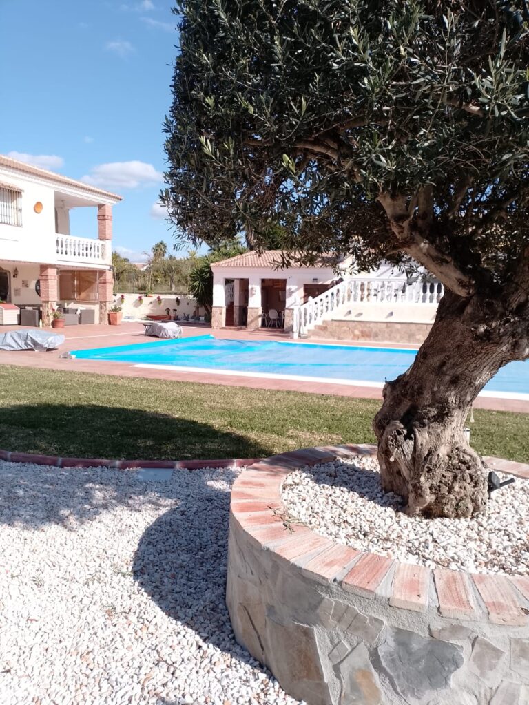 WhatsApp Image 2025-12-02 at 16.24.06 (2)